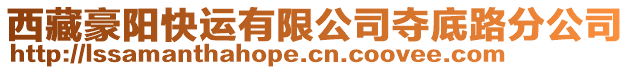 西藏豪陽快運有限公司奪底路分公司