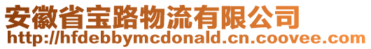安徽省寶路物流有限公司