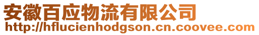安徽百應物流有限公司