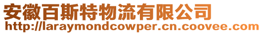 安徽百斯特物流有限公司