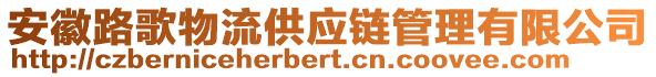 安徽路歌物流供應(yīng)鏈管理有限公司