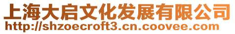 上海大啟文化發展有限公司