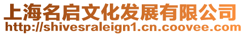 上海名啟文化發展有限公司
