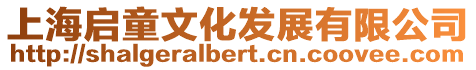 上海啟童文化發展有限公司
