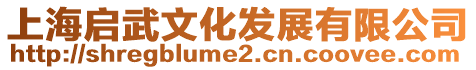 上海啟武文化發展有限公司