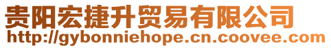 貴陽(yáng)宏捷升貿(mào)易有限公司