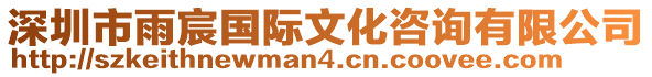 深圳市雨宸國際文化咨詢有限公司