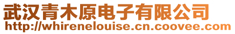 武漢青木原電子有限公司