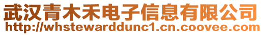 武漢青木禾電子信息有限公司