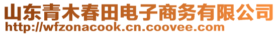 山東青木春田電子商務有限公司