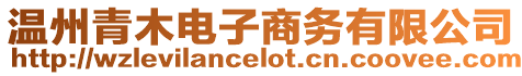 溫州青木電子商務有限公司