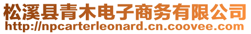 松溪縣青木電子商務有限公司