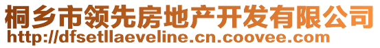 桐鄉(xiāng)市領(lǐng)先房地產(chǎn)開(kāi)發(fā)有限公司