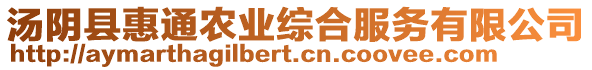 湯陰縣惠通農(nóng)業(yè)綜合服務(wù)有限公司