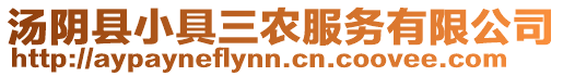 湯陰縣小具三農(nóng)服務(wù)有限公司