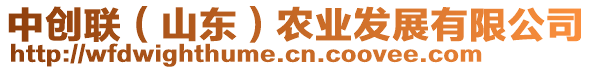 中創(chuàng)聯(lián)（山東）農(nóng)業(yè)發(fā)展有限公司