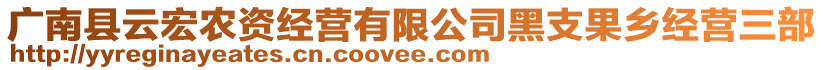 广南县云宏农资经营有限公司黑支果乡经营三部