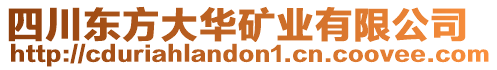 四川東方大華礦業(yè)有限公司