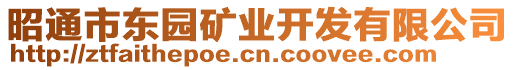 昭通市東園礦業(yè)開發(fā)有限公司