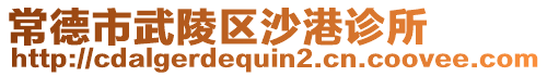 常德市武陵區(qū)沙港診所