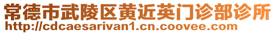 常德市武陵區(qū)黃近英門診部診所