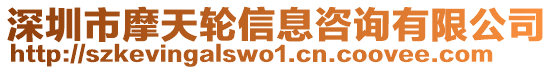 深圳市摩天輪信息咨詢有限公司