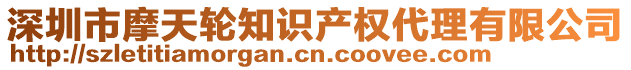 深圳市摩天輪知識(shí)產(chǎn)權(quán)代理有限公司