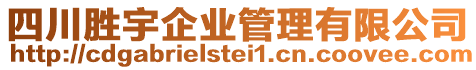 四川勝宇企業(yè)管理有限公司