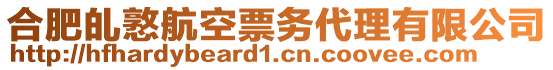 合肥癿憝航空票務(wù)代理有限公司