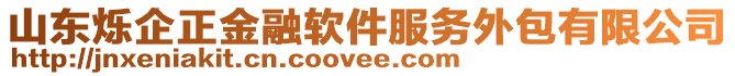 山東爍企正金融軟件服務外包有限公司