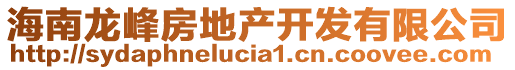 海南龍峰房地產(chǎn)開發(fā)有限公司