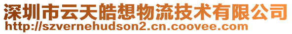 深圳市云天皓想物流技術(shù)有限公司