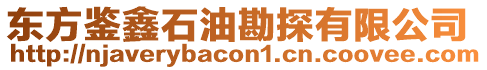 東方鑒鑫石油勘探有限公司