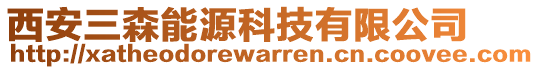 西安三森能源科技有限公司