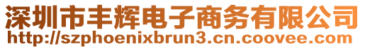 深圳市豐輝電子商務(wù)有限公司