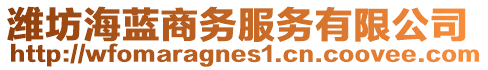 濰坊海藍商務服務有限公司