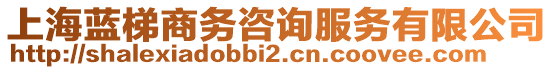 上海藍梯商務咨詢服務有限公司