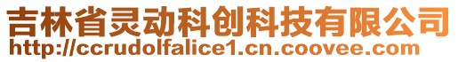 吉林省靈動科創(chuàng)科技有限公司