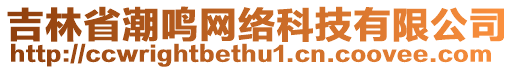 吉林省潮鳴網絡科技有限公司