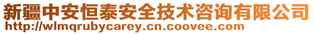 新疆中安恒泰安全技術(shù)咨詢有限公司