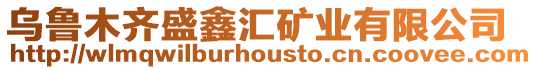 烏魯木齊盛鑫匯礦業有限公司