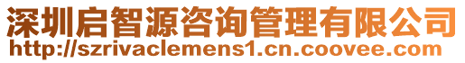 深圳啟智源咨詢管理有限公司