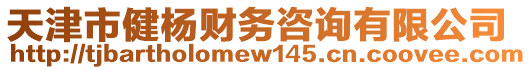 天津市健楊財(cái)務(wù)咨詢有限公司