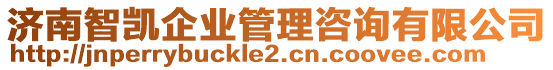 濟(jì)南智凱企業(yè)管理咨詢有限公司