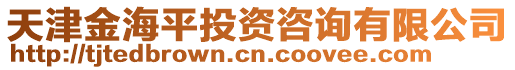 天津金海平投資咨詢有限公司