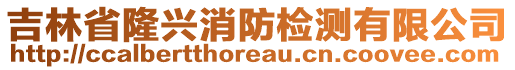 吉林省隆興消防檢測有限公司