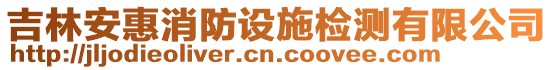 吉林安惠消防設施檢測有限公司