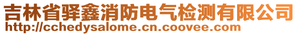 吉林省驛鑫消防電氣檢測有限公司