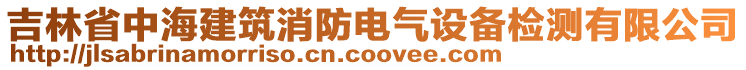 吉林省中海建筑消防電氣設(shè)備檢測有限公司