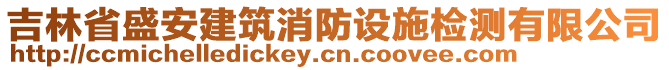 吉林省盛安建筑消防設施檢測有限公司